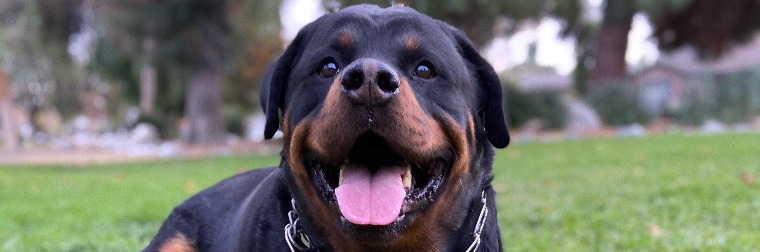 KChainZ's profile banner image