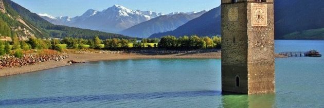 Alexander Macris banner