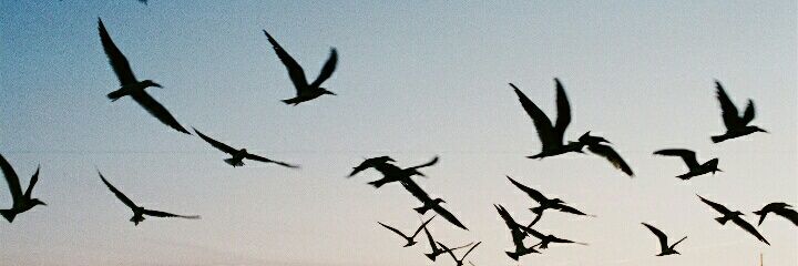 rizki_armnda's profile banner image
