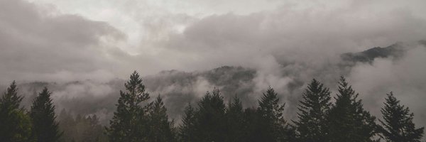 Shormey_ Profile Banner