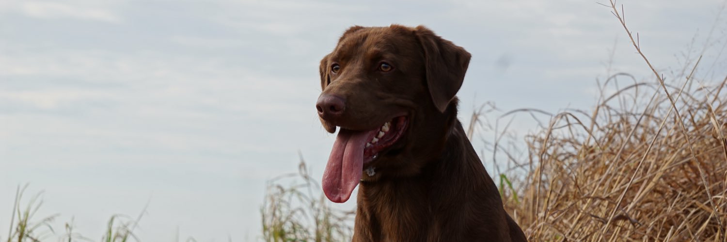 Leland Selby | REALTOR banner