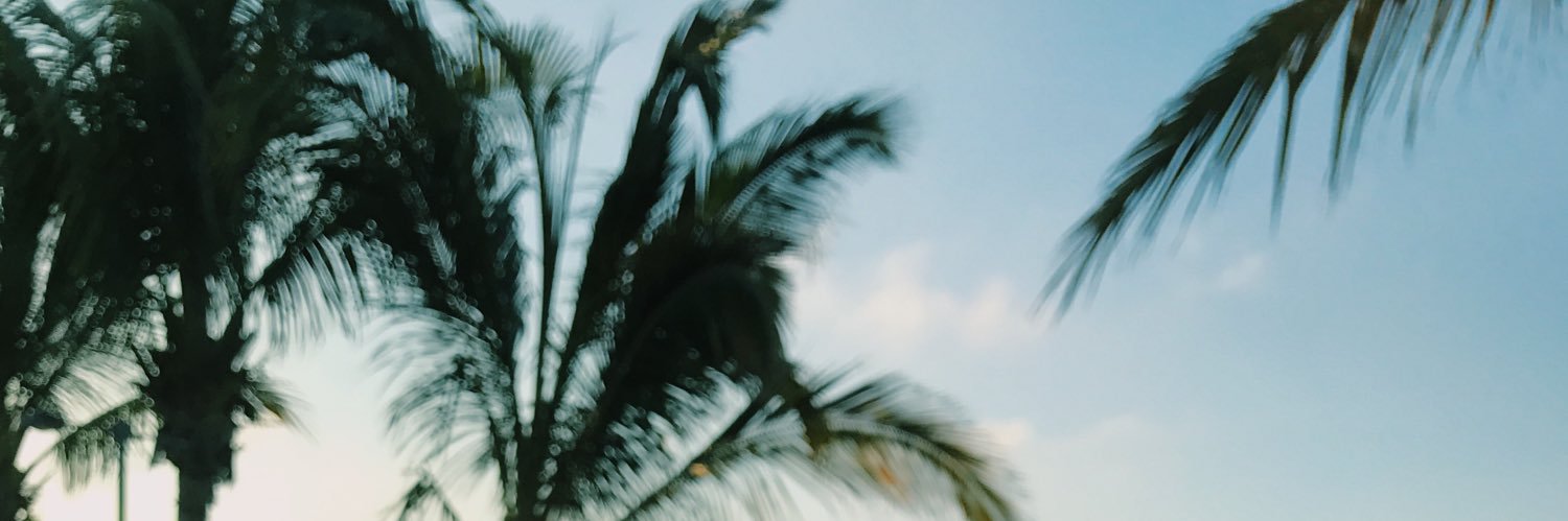 laiavalosm's profile banner image