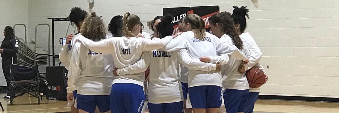 ladyviks_hoops's profile banner image