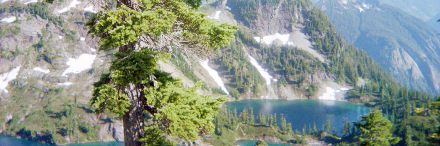 madstermacshack's profile banner image