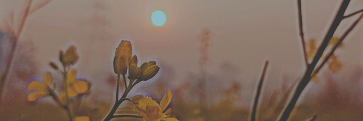 SethShridhar's profile banner image