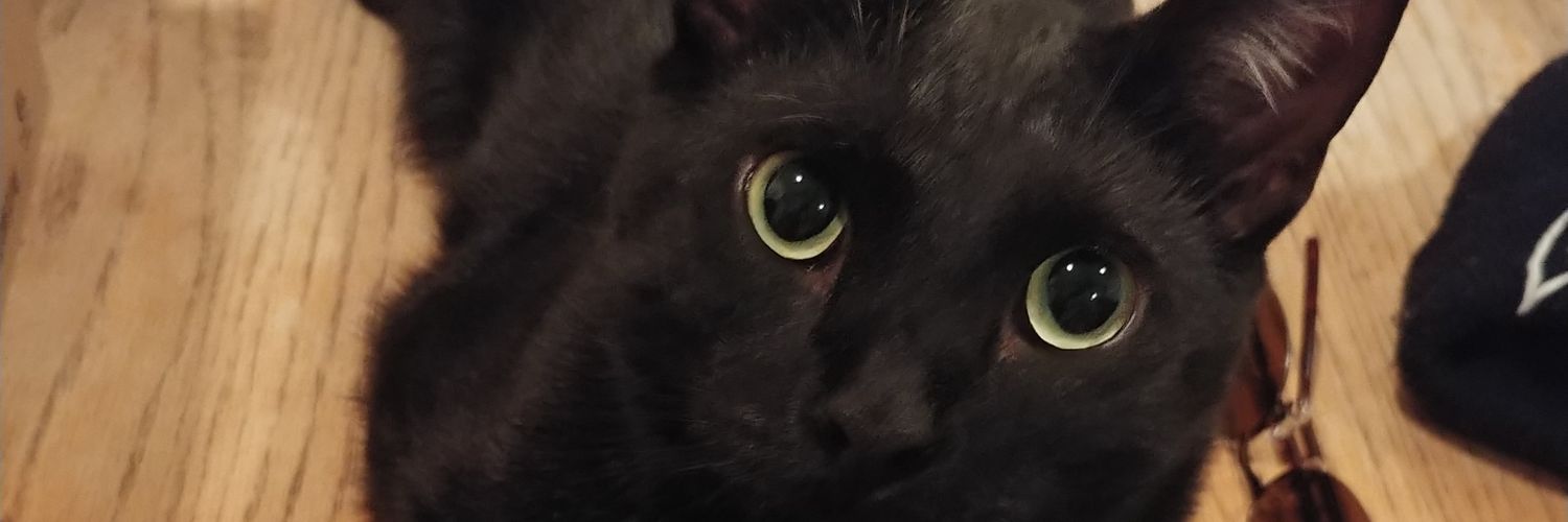 KayH7111's profile banner image