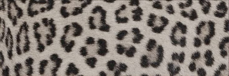 Viisawww_'s profile banner image
