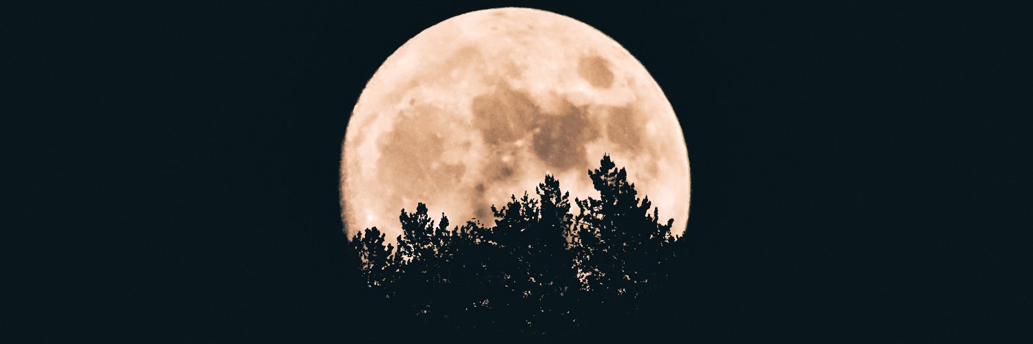 OleusOficial's profile banner image