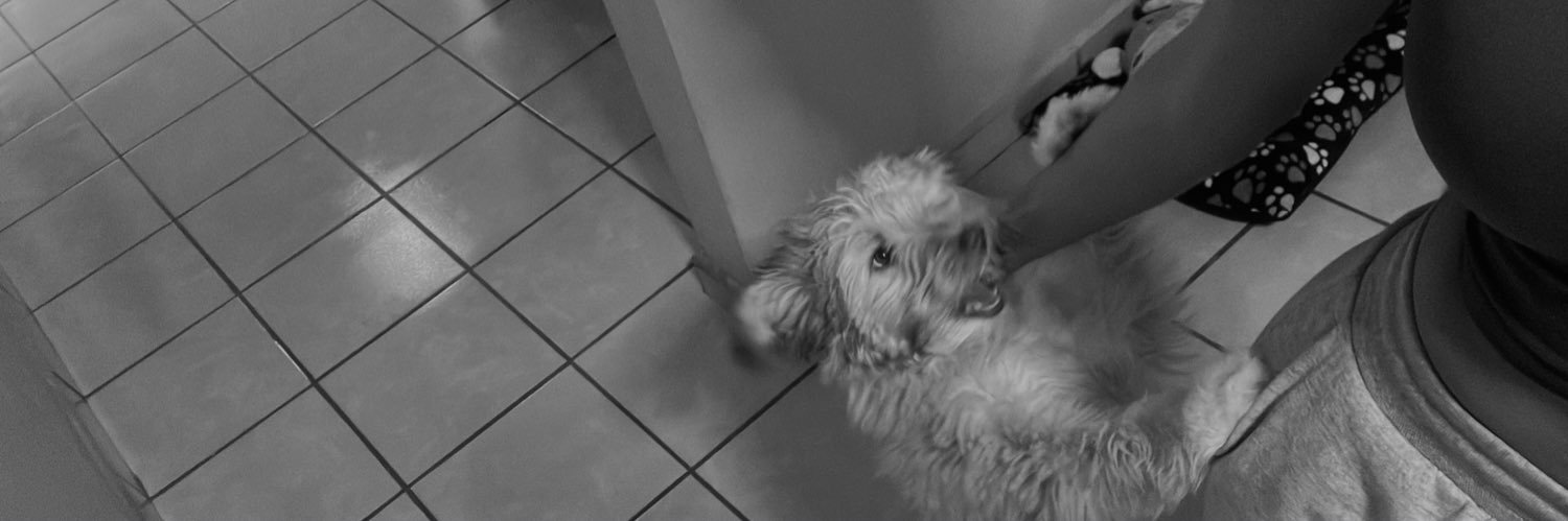 melany banner