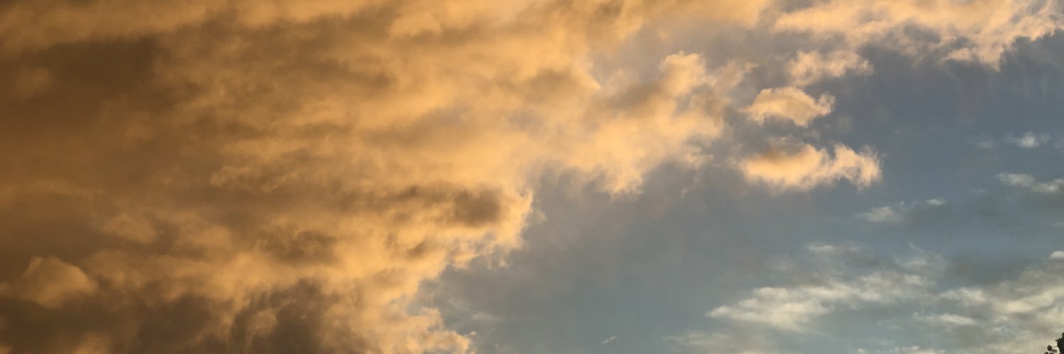 GayLarrayadieuO's profile banner image