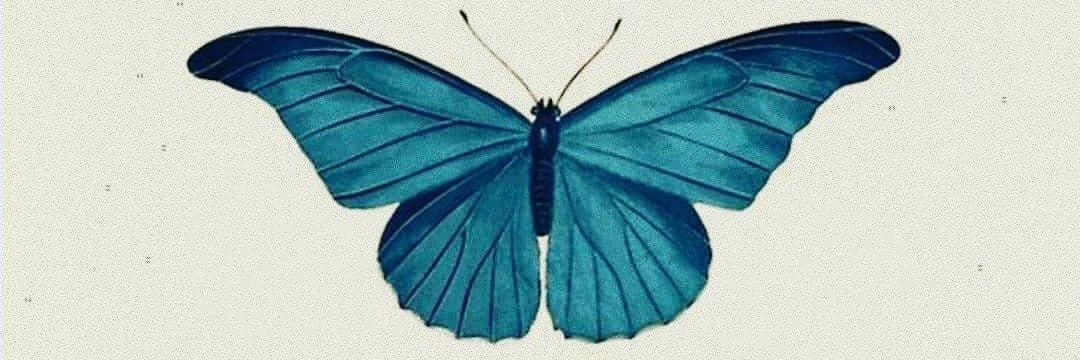 ReneeMacalyn's profile banner image