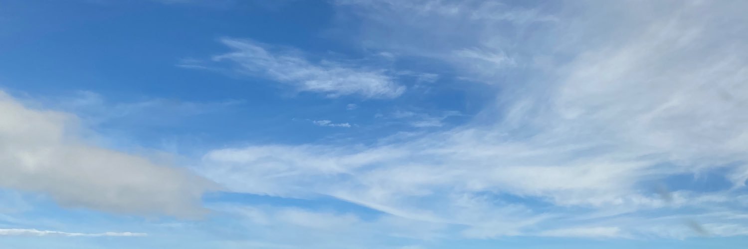 sofiasprillaa's profile banner image