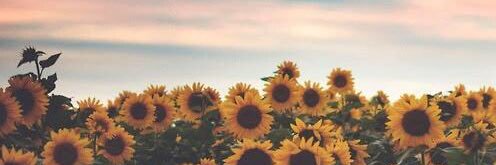 jxmieeoo's profile banner image