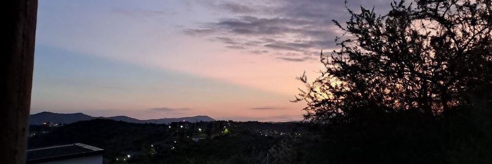 meloreinhart's profile banner image