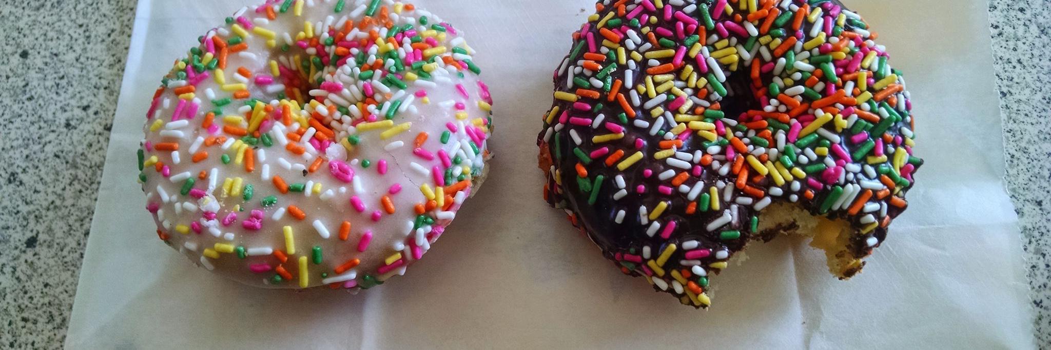 Kelly Shuster banner