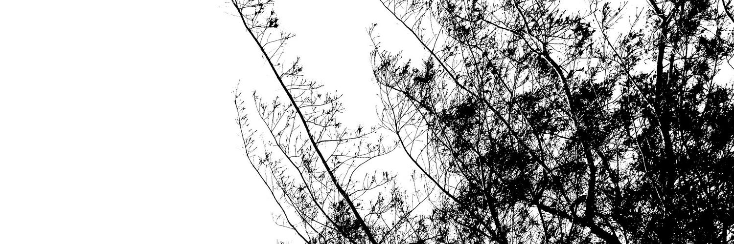 non_napat's profile banner image