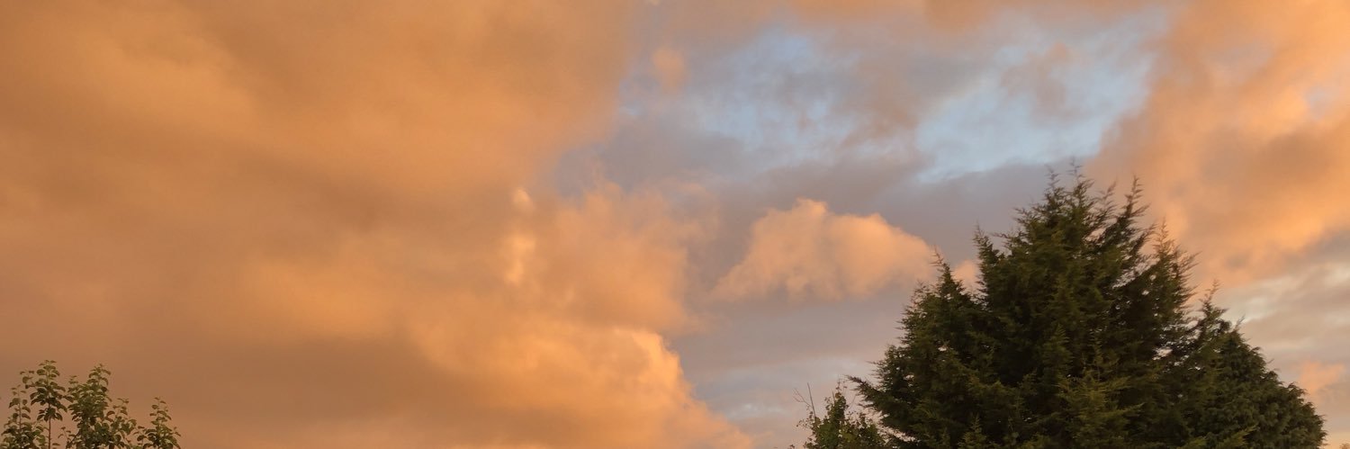 mkrowntree's profile banner image