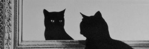 fl_smr's profile banner image