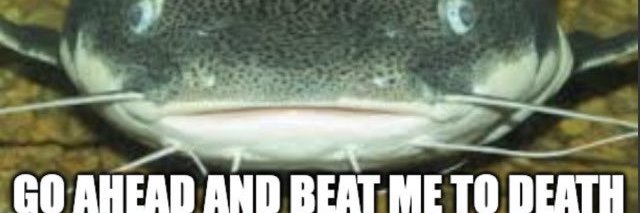 okey dokey 👍🏼 banner