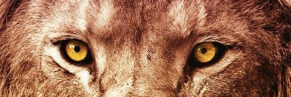 03gang_t's profile banner image