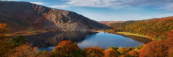 shylands Profile Banner