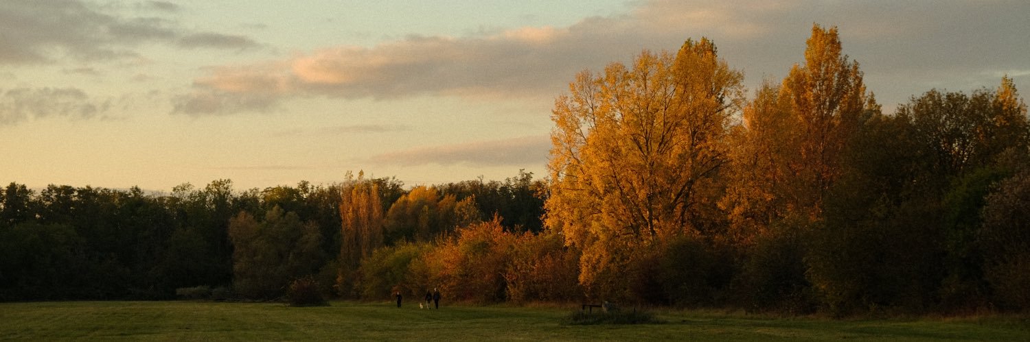 Late bottled vintage banner