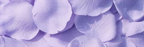 nanixko's profile banner image
