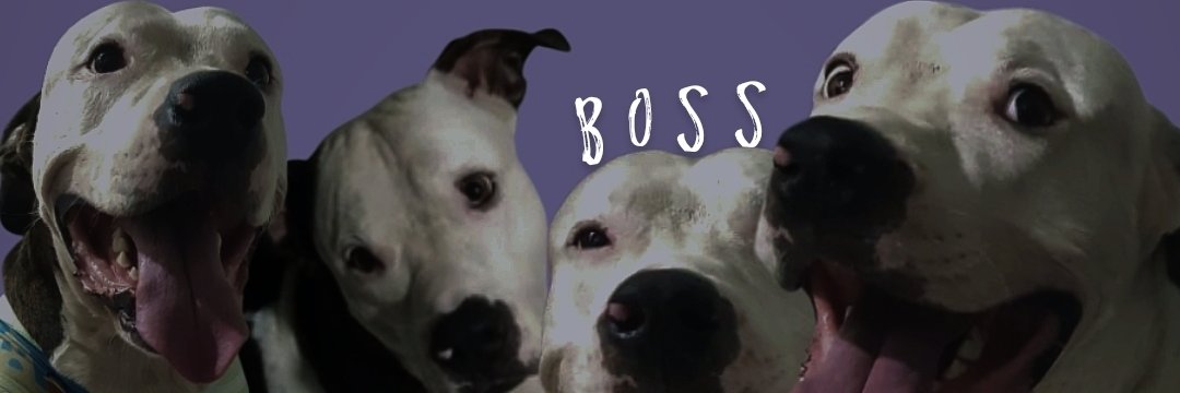 RquelB's profile banner image