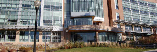 UMass Institute for Applied Life Sciences Profile Banner