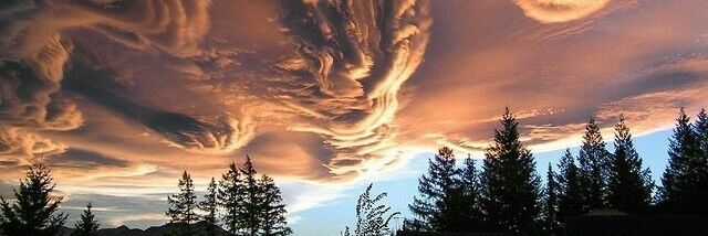 Dfernando_XVII's profile banner image