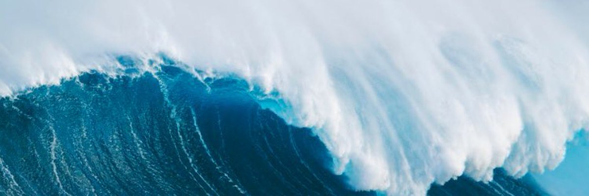 jodisprigg's profile banner image