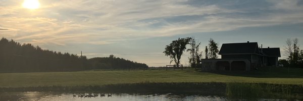 shardo33 Profile Banner