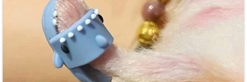 Betso26's profile banner image