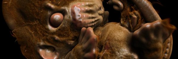 gaby_gmartins Profile Banner