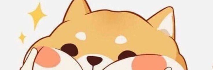 tioamir's profile banner image