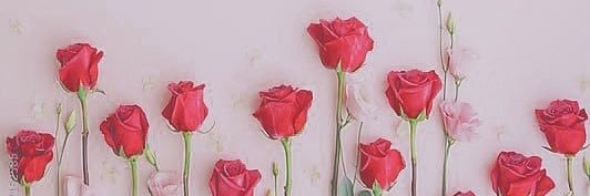 み🐻 banner
