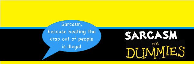 Sarcasm for Dummies 😉 banner