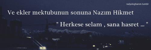 meltemcakiroglu's profile banner image