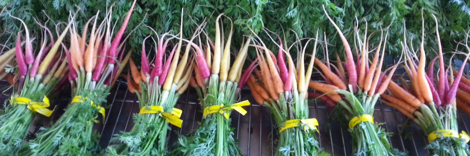 Kristian Vester banner