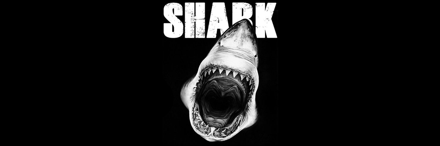 shark_designer's profile banner image