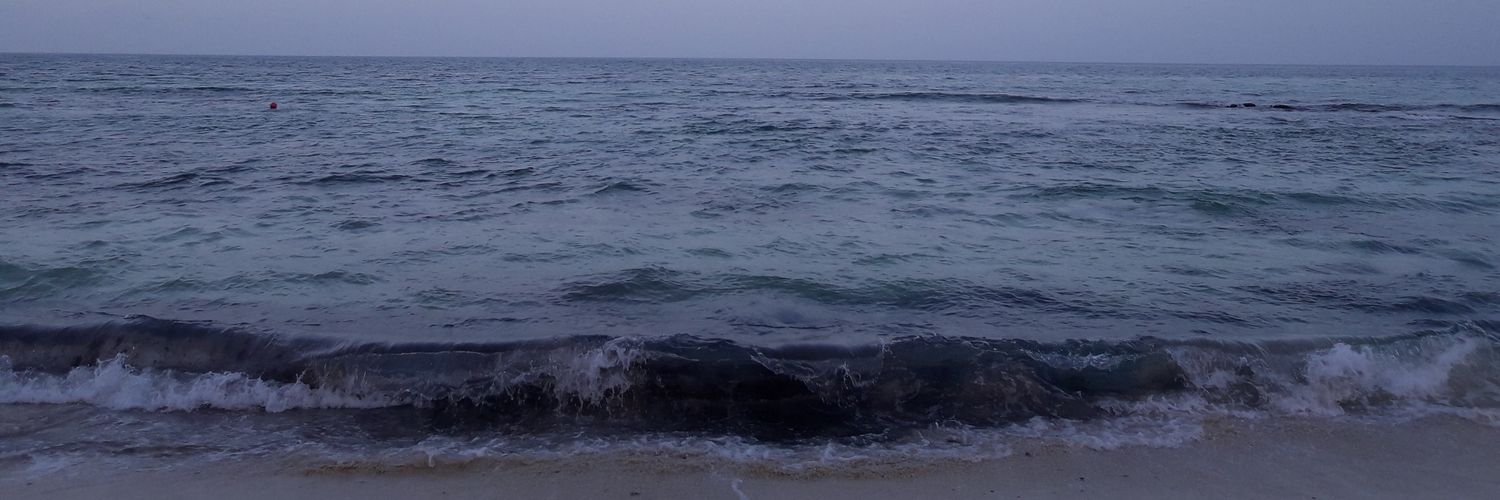 AleFdLA's profile banner image