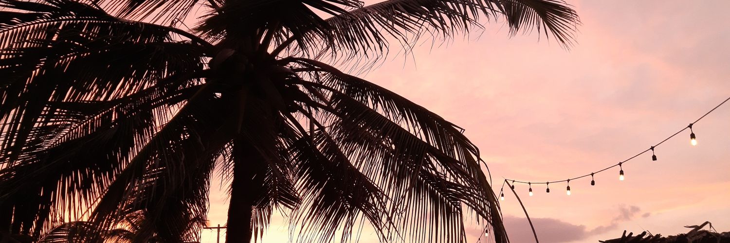 CamiMontea's profile banner image