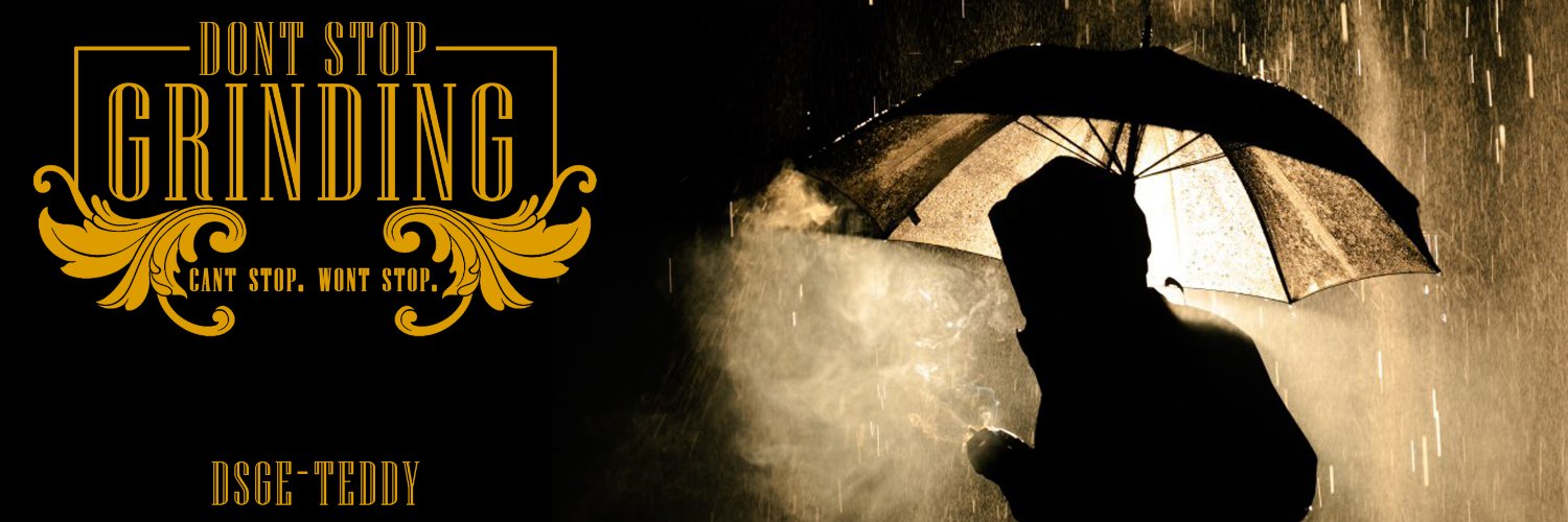 DSGE_Teddy's profile banner image