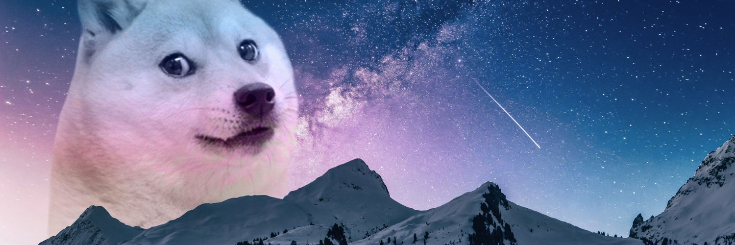 Stroggs 🇺🇬 banner