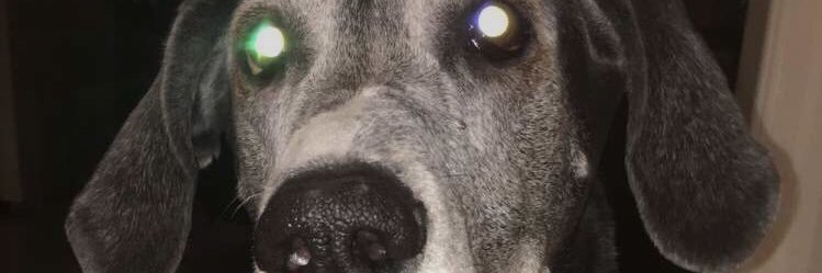 blueskyee95's profile banner image