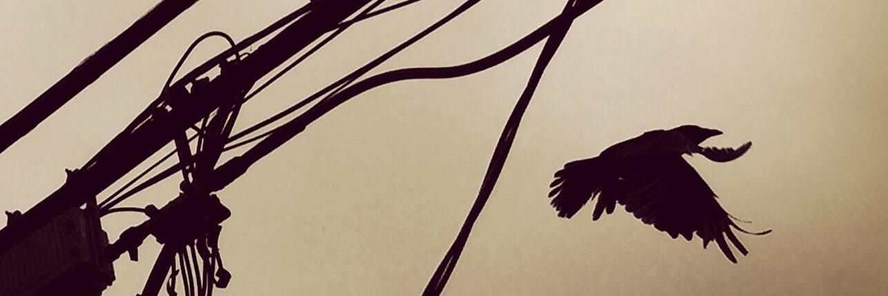 RobertPacey's profile banner image