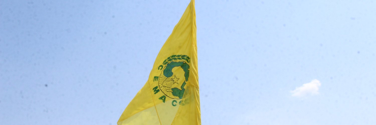 Commission de la CEMAC banner