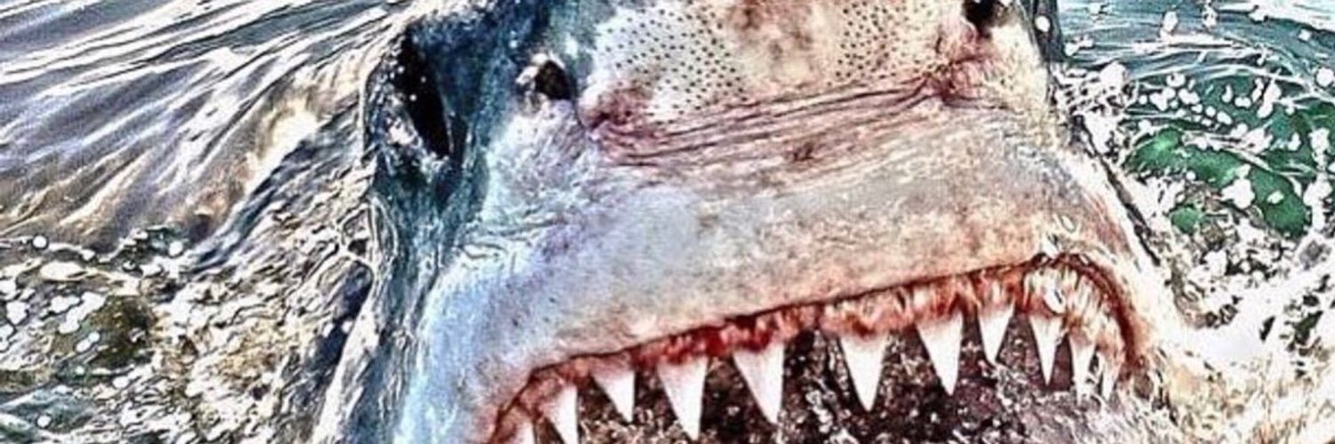 madz4321's profile banner image