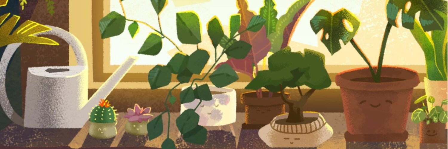 kohonyah's profile banner image