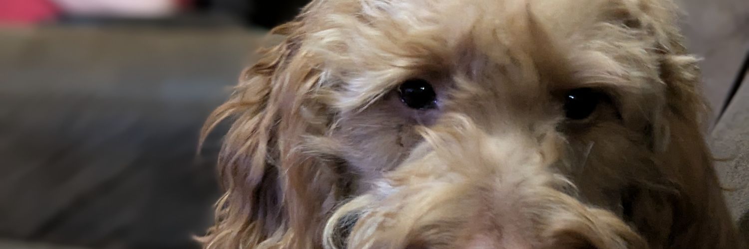 Hemmie88's profile banner image